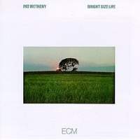 PAT METHENY / Bright Size Life